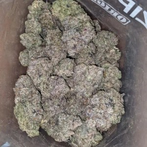 forbidden fruit(Indica)