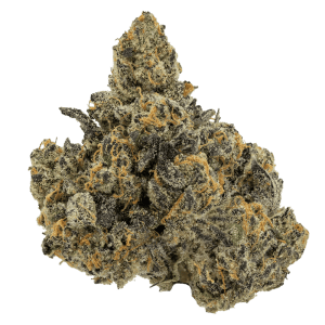 LA RUNTZ(hybrid)